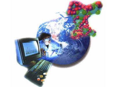 生命密碼與數(shù)字洪流 生物技術(shù)與信息技術(shù)的深度融合與計(jì)算機(jī)開(kāi)發(fā)新范式